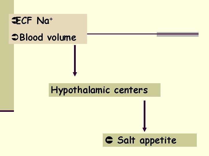 ÜECF Na+ Ü Blood volume Hypothalamic centers Salt appetite 
