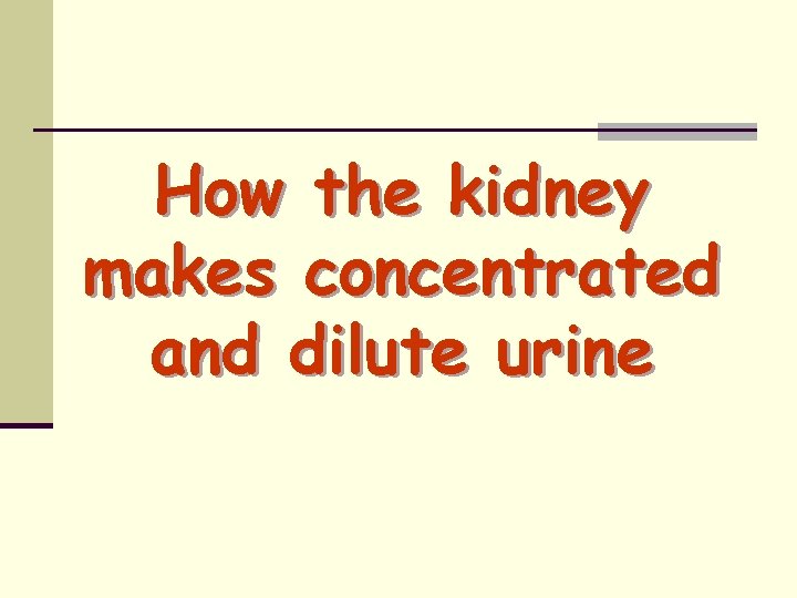 How the kidney makes concentrated and dilute urine 