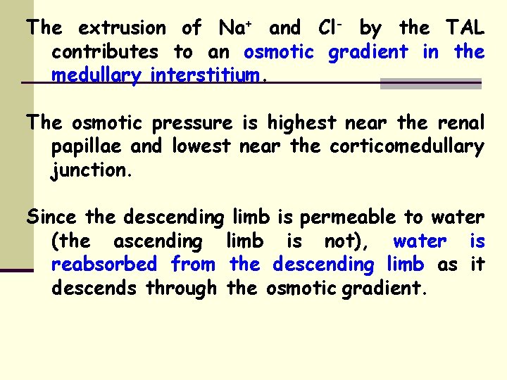 The extrusion of Na+ and Cl- by the TAL contributes to an osmotic gradient