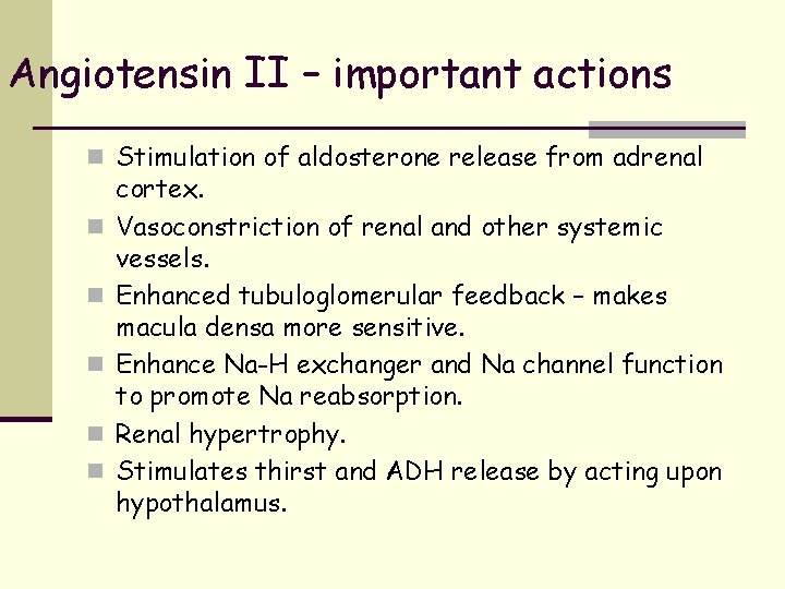 Angiotensin II – important actions n Stimulation of aldosterone release from adrenal n n
