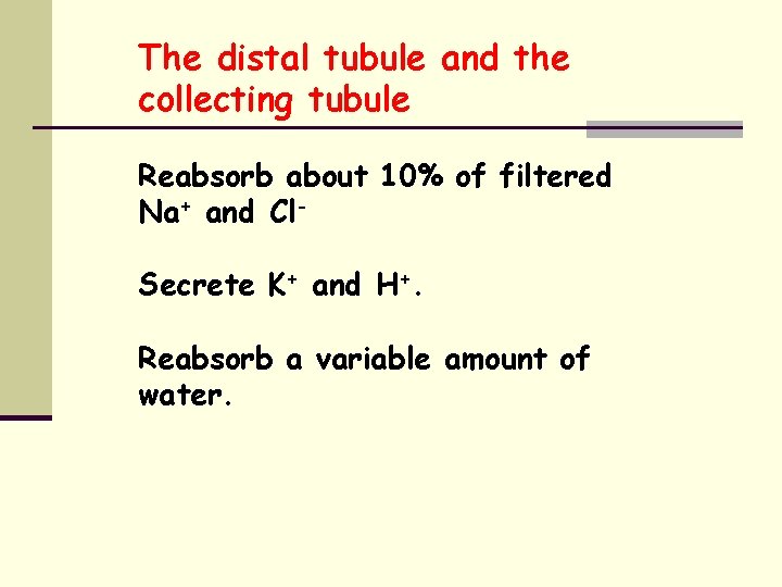 The distal tubule and the collecting tubule Reabsorb about 10% of filtered Na+ and