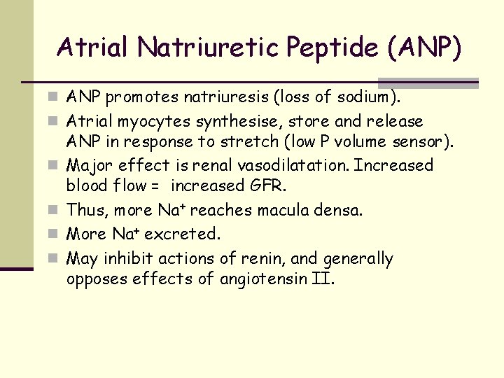 Atrial Natriuretic Peptide (ANP) n ANP promotes natriuresis (loss of sodium). n Atrial myocytes