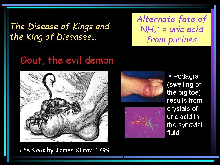 The Disease of Kings and the King of Diseases… Alternate fate of NH 4+