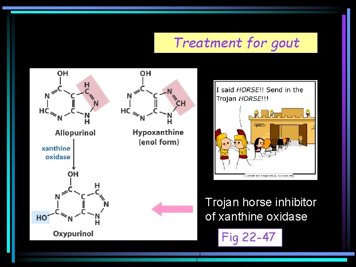 Treatment for gout Trojan horse inhibitor of xanthine oxidase Fig 22 -47 