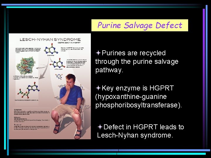 Purine Salvage Defect Purines are recycled through the purine salvage pathway. Key enzyme is