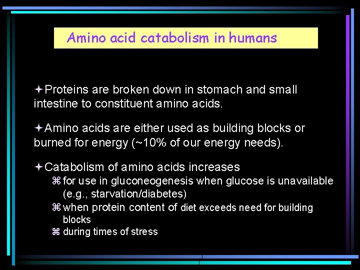 Amino acid catabolism in humans Proteins are broken down in stomach and small intestine