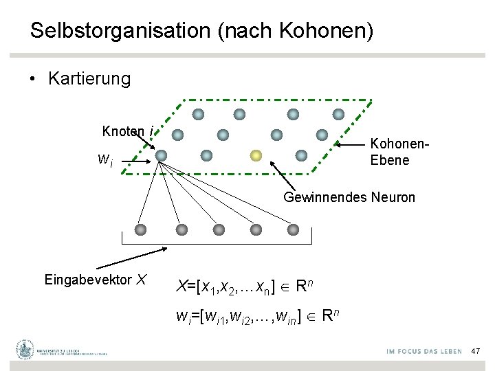 Selbstorganisation (nach Kohonen) • Kartierung Knoten i Kohonen. Ebene wi Gewinnendes Neuron Eingabevektor X