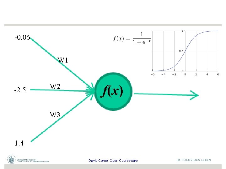 -0. 06 W 1 -2. 5 W 2 f(x) W 3 1. 4 David