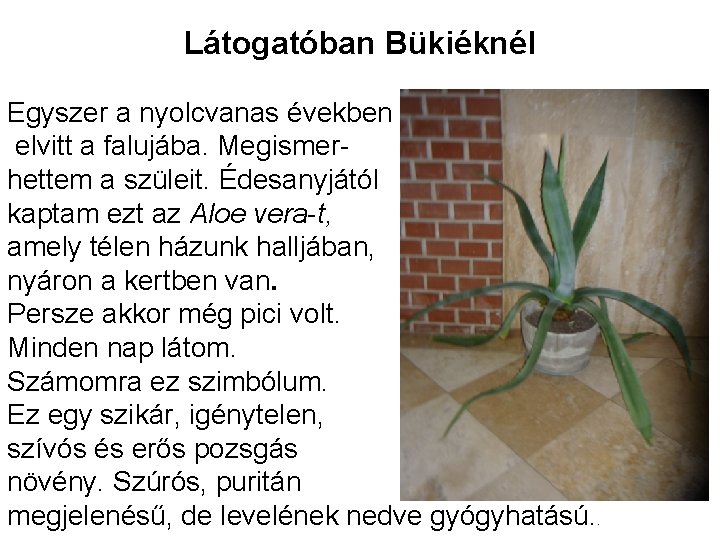 Látogatóban Bükiéknél Egyszer a nyolcvanas években elvitt a falujába. Megismerhettem a szüleit. Édesanyjától kaptam