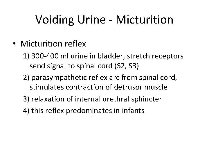Voiding Urine - Micturition • Micturition reflex 1) 300 -400 ml urine in bladder,