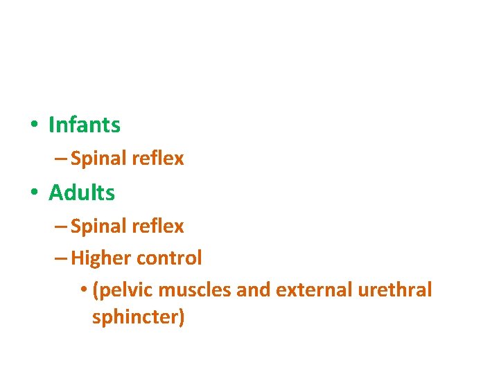 • Infants – Spinal reflex • Adults – Spinal reflex – Higher control