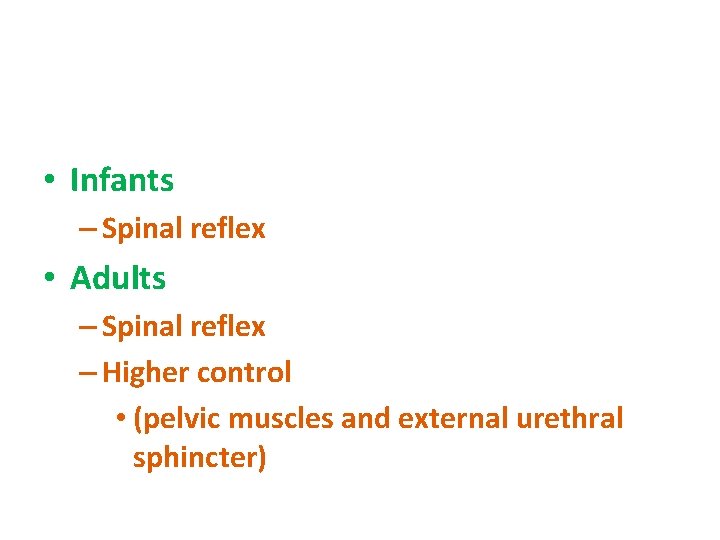 • Infants – Spinal reflex • Adults – Spinal reflex – Higher control • Infants – Spinal reflex • Adults – Spinal reflex – Higher control