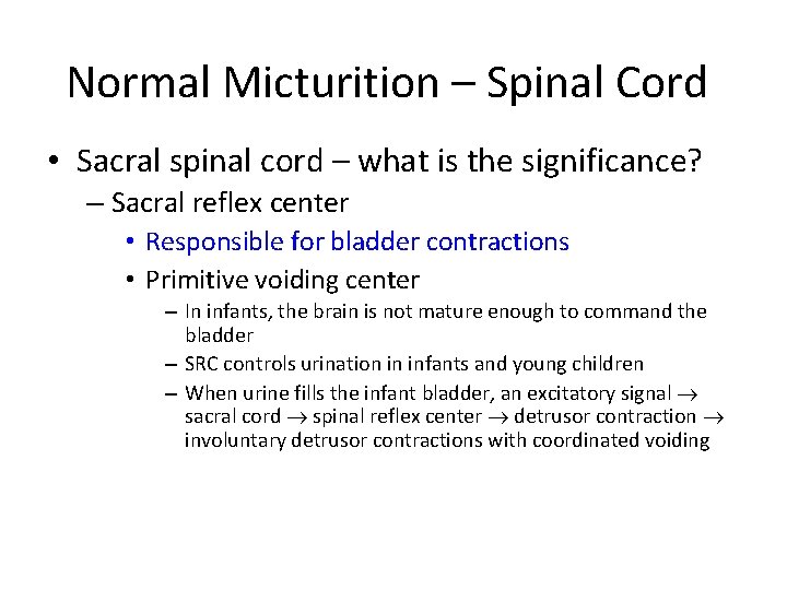 Normal Micturition – Spinal Cord • Sacral spinal cord – what is the significance?