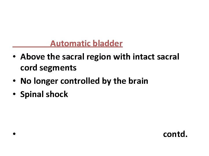 Automatic bladder • Above the sacral region with intact sacral cord segments • No