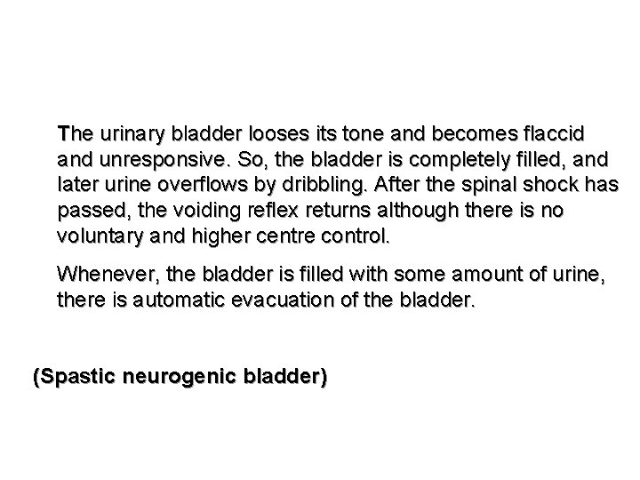 The urinary bladder looses its tone and becomes flaccid and unresponsive. So, the bladder The urinary bladder looses its tone and becomes flaccid and unresponsive. So, the bladder