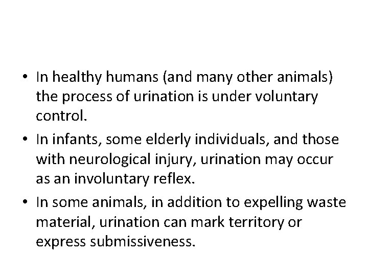  • In healthy humans (and many other animals) the process of urination is