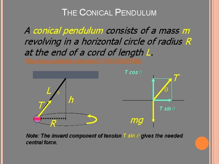 THE CONICAL PENDULUM A conical pendulum consists of a mass m revolving in a