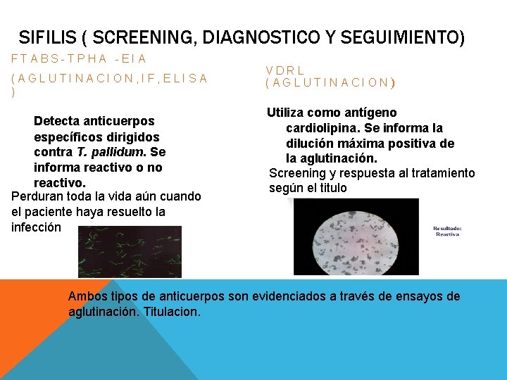 SIFILIS ( SCREENING, DIAGNOSTICO Y SEGUIMIENTO) FTABS-TPHA -EIA (AGLUTINACION, IF, ELISA ) Detecta anticuerpos