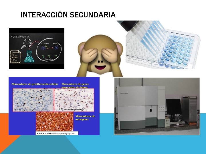 INTERACCIÓN SECUNDARIA 