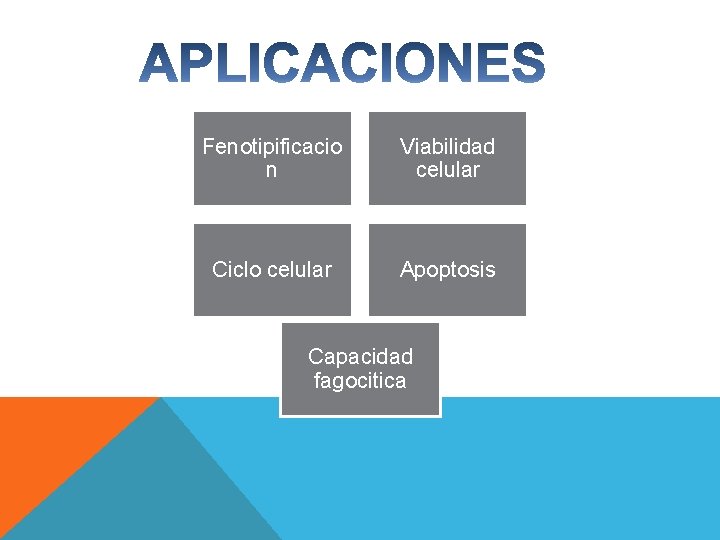 Fenotipificacio n Viabilidad celular Ciclo celular Apoptosis Capacidad fagocitica 