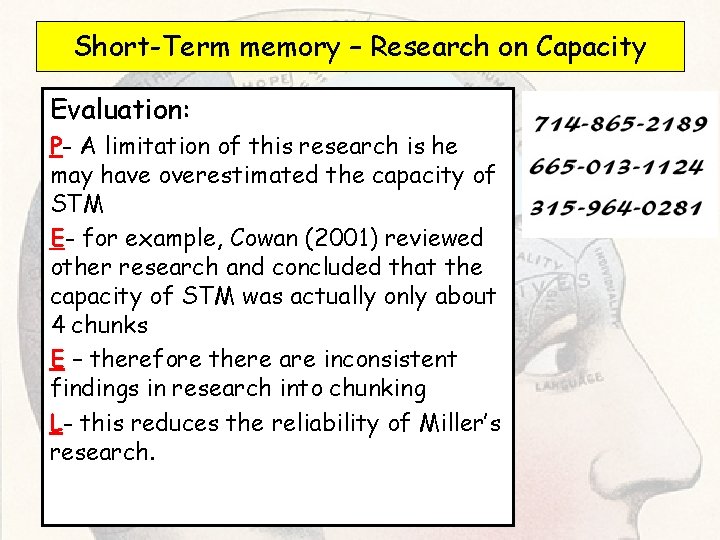 Short-Term memory – Research on Capacity Evaluation: P- A limitation of this research is Short-Term memory – Research on Capacity Evaluation: P- A limitation of this research is
