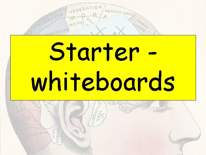 Starter whiteboards Starter whiteboards