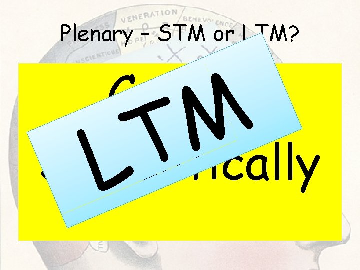Plenary – STM or LTM? Coding Semantically M T L Plenary – STM or LTM? Coding Semantically M T L