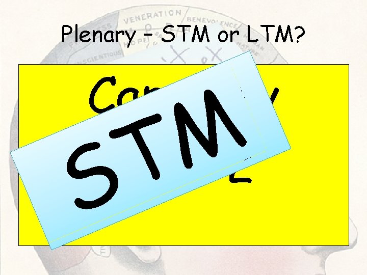 Plenary – STM or LTM? Capacity 7+/- 2 S M T Plenary – STM or LTM? Capacity 7+/- 2 S M T