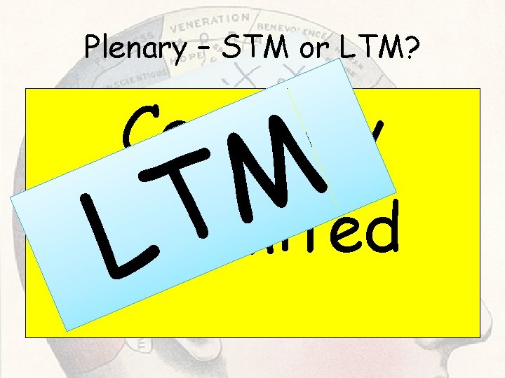 Plenary – STM or LTM? Capacity Unlimited M T L Plenary – STM or LTM? Capacity Unlimited M T L