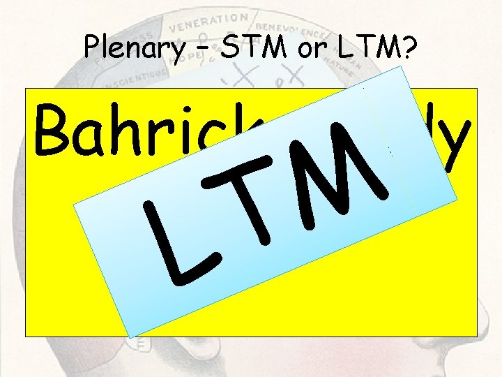 Plenary – STM or LTM? Bahrick Study M T L Plenary – STM or LTM? Bahrick Study M T L