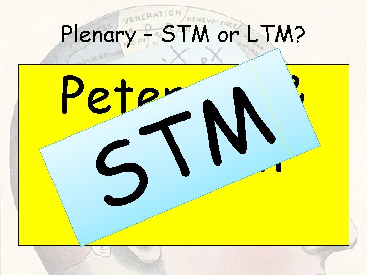 Plenary – STM or LTM? Peterson & Peterson M T S Plenary – STM or LTM? Peterson & Peterson M T S