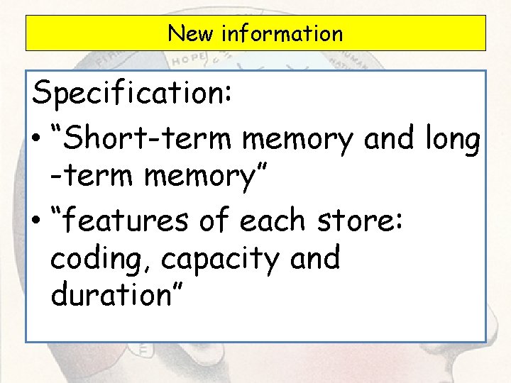 New information Specification: • “Short-term memory and long -term memory” • “features of each New information Specification: • “Short-term memory and long -term memory” • “features of each