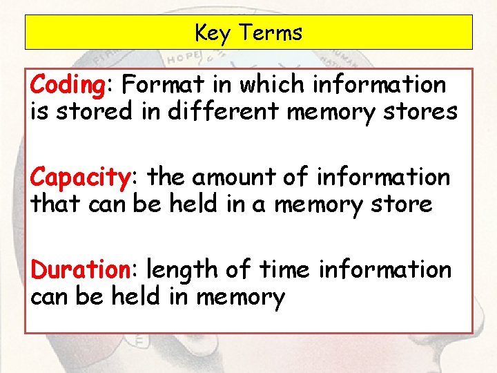 Key Terms Coding: Format in which information is stored in different memory stores Capacity: Key Terms Coding: Format in which information is stored in different memory stores Capacity: