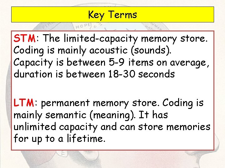 Key Terms STM: The limited-capacity memory store. Coding is mainly acoustic (sounds). Capacity is Key Terms STM: The limited-capacity memory store. Coding is mainly acoustic (sounds). Capacity is