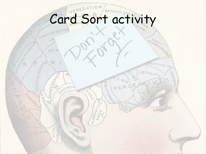 Card Sort activity Card Sort activity