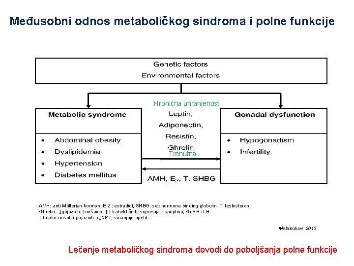 Međusobni odnos metaboličkog sindroma i polne funkcije Hronična uhranjenost Trenutna AMH: anti-Müllerian hormon, E