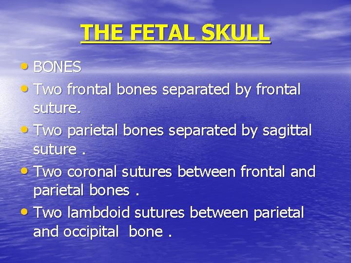 THE FETAL SKULL • BONES • Two frontal bones separated by frontal suture. •