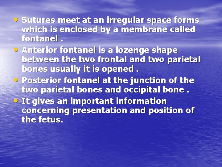  • Sutures meet at an irregular space forms • • • which is