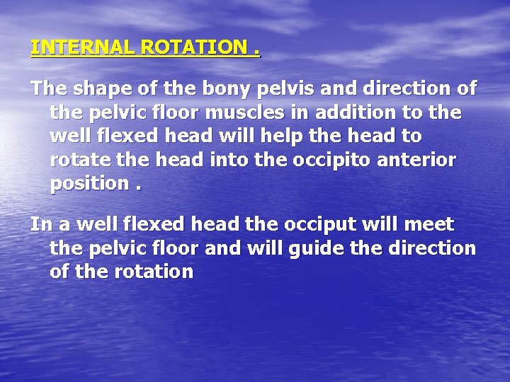 INTERNAL ROTATION. The shape of the bony pelvis and direction of the pelvic floor