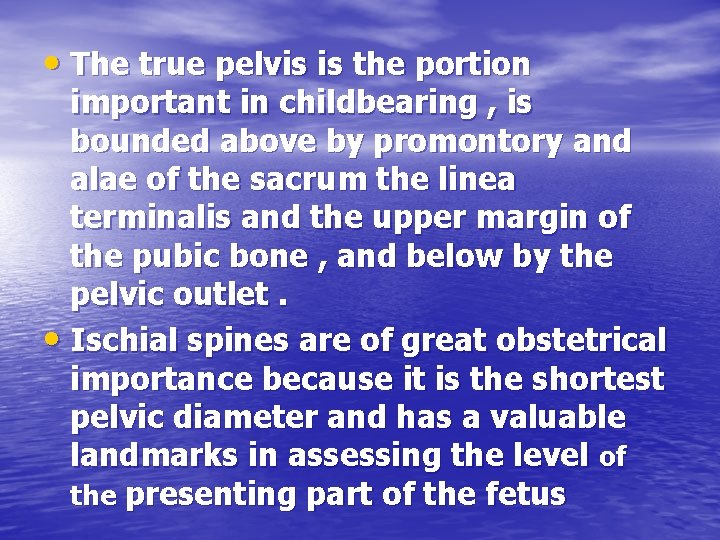  • The true pelvis is the portion important in childbearing , is bounded