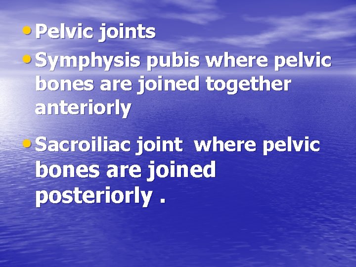  • Pelvic joints • Symphysis pubis where pelvic bones are joined together anteriorly