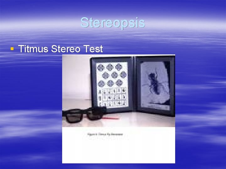 Stereopsis § Titmus Stereo Test 