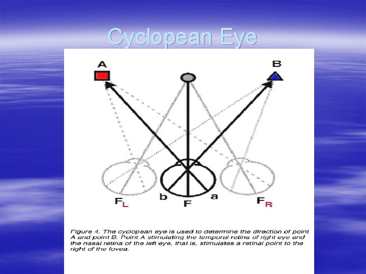 Cyclopean Eye 