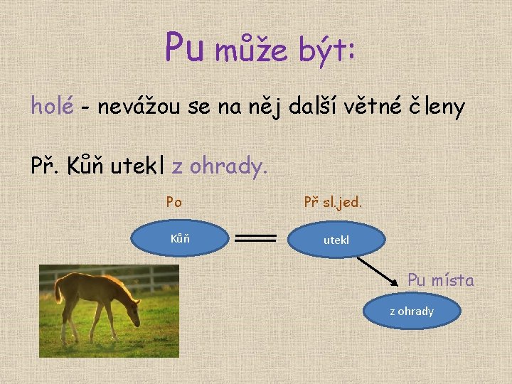 Pu může být: holé - nevážou se na něj další větné členy Př. Kůň