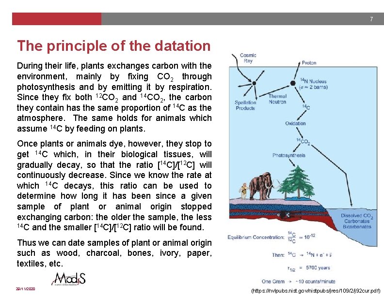 7 The principle of the datation During their life, plants exchanges carbon with the