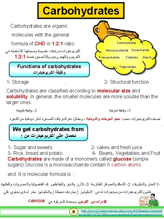 Carbohydrates are organic molecules with the general formula of CHO in 1: 2: 1