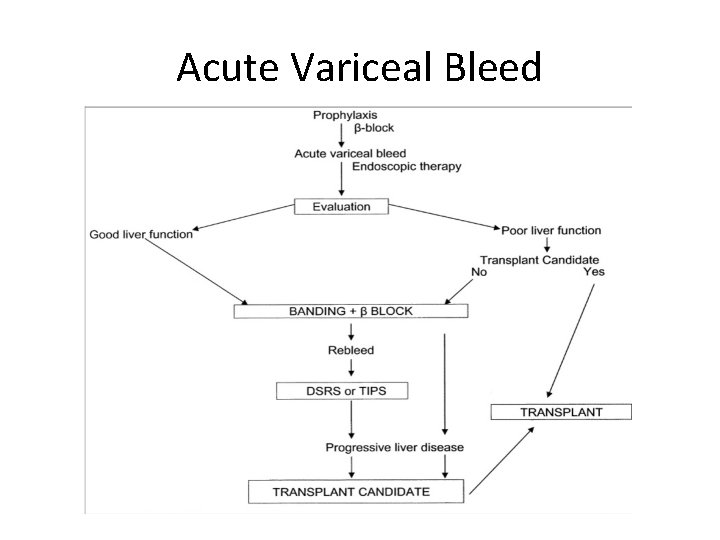 Acute Variceal Bleed 