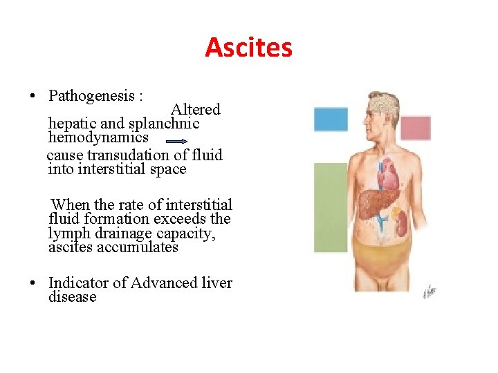 Ascites • Pathogenesis : Altered hepatic and splanchnic hemodynamics cause transudation of fluid into