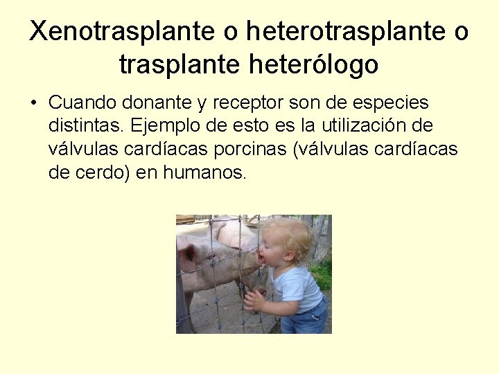 Xenotrasplante o heterotrasplante o trasplante heterólogo • Cuando donante y receptor son de especies