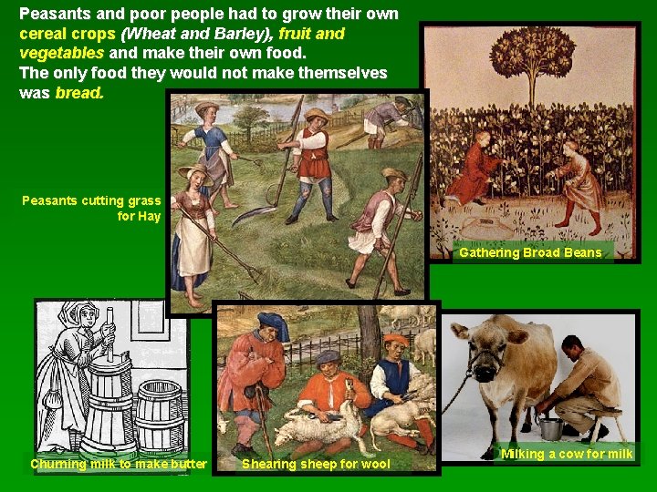 Peasants and poor people had to grow their own cereal crops (Wheat and Barley),